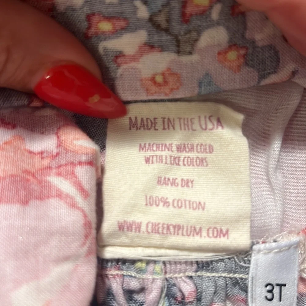 CHEEKY PLUM Boutique Girls Dress 3T ruffles butterfly floral whimsical